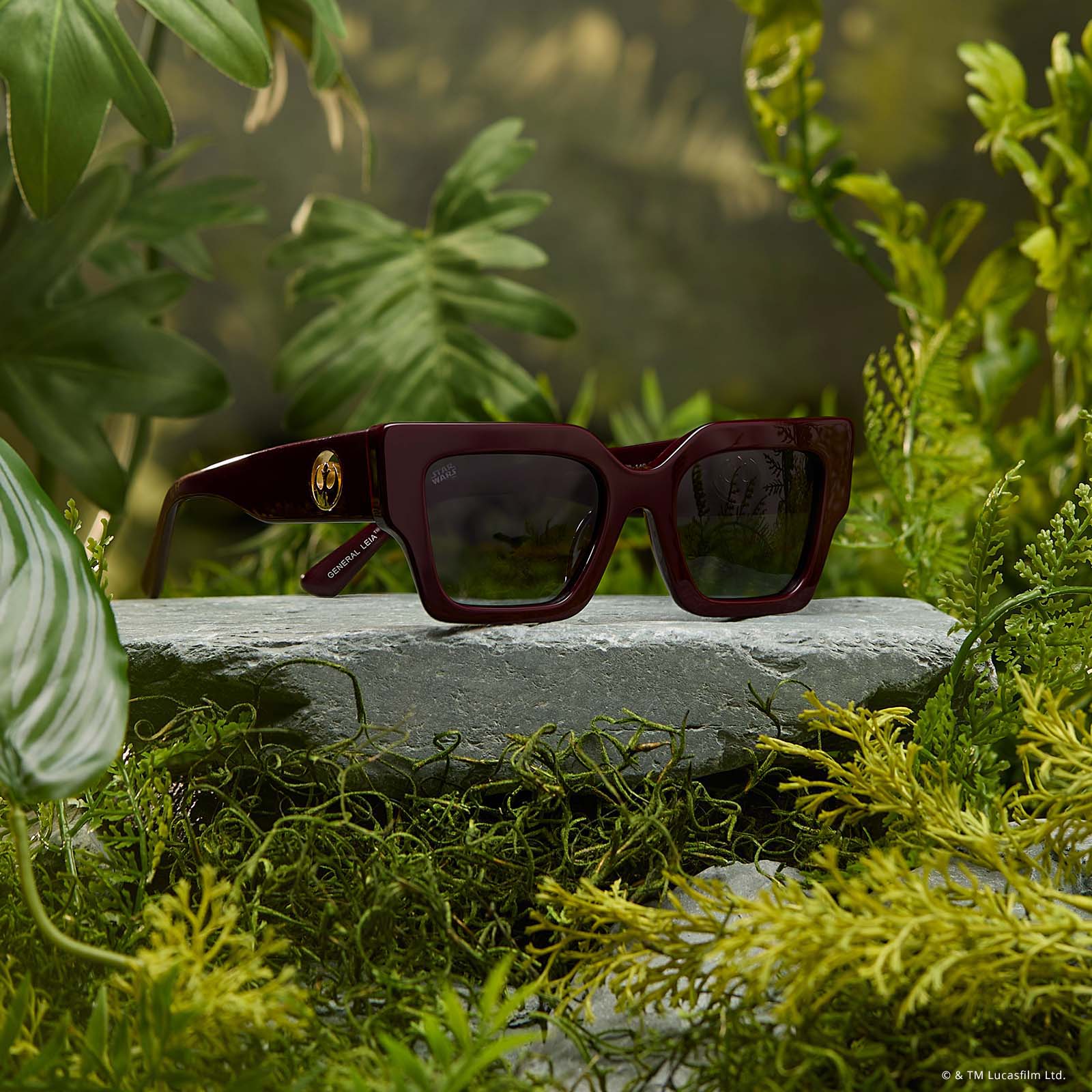 GENERAL LEIA™ - REGAL AUBERGINE CRYSTAL + SPACE GREY GRADIENT + POLARIZED SUNGLASSES - Image 6