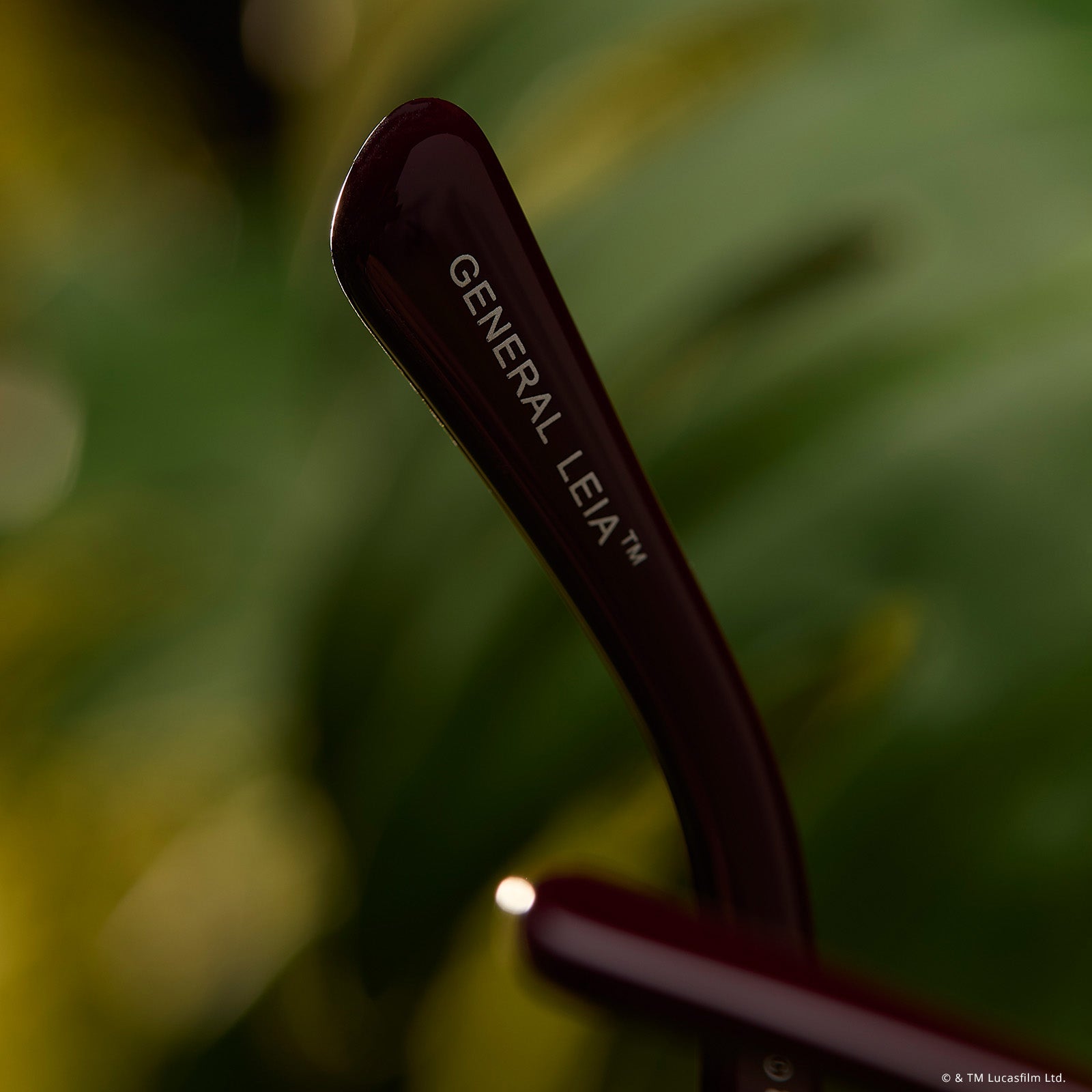 GENERAL LEIA™ - REGAL AUBERGINE CRYSTAL + SPACE GREY GRADIENT + POLARIZED SUNGLASSES - Image 7
