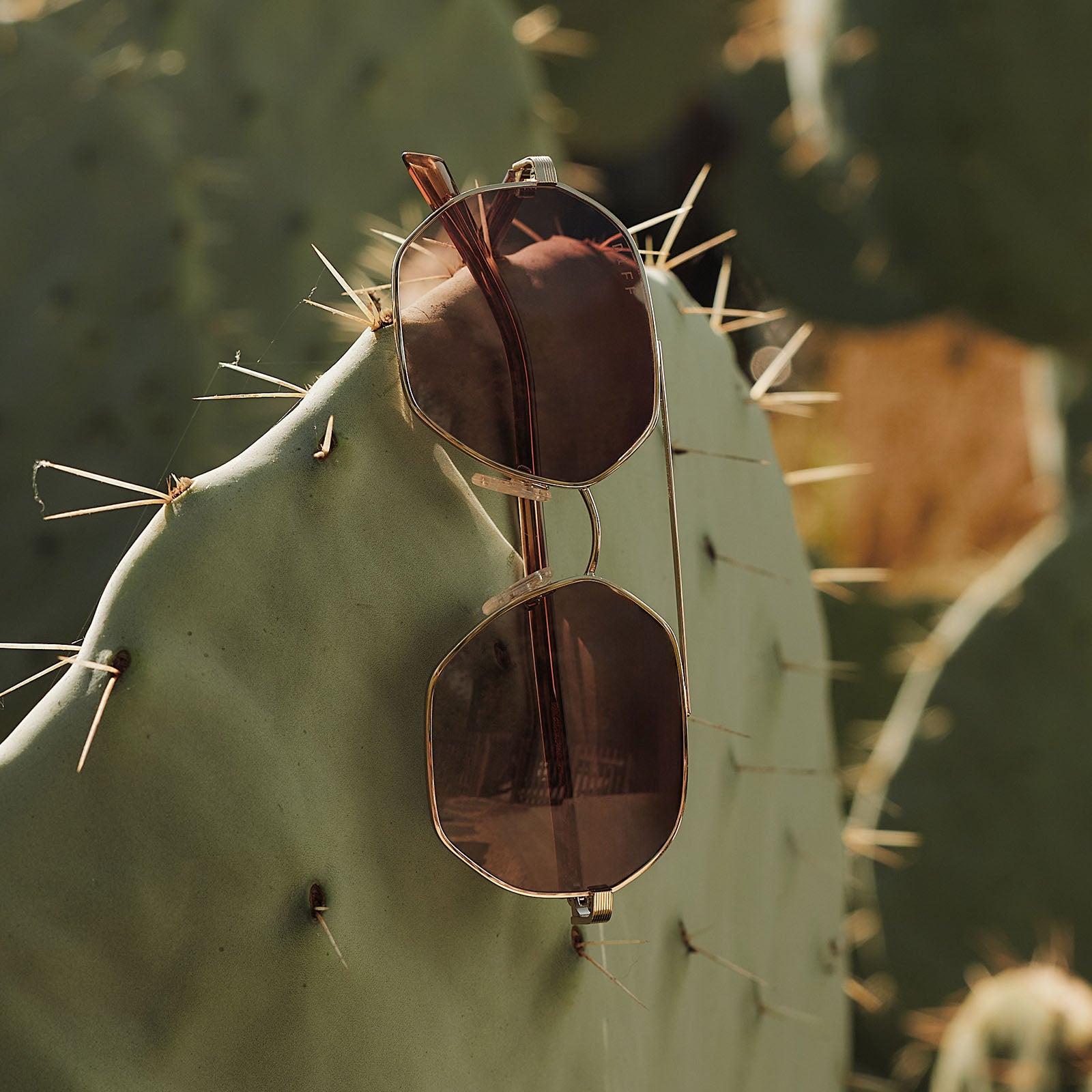 JOJO FLETCHER - JOELLE + GOLD + HORN TORTOISE + BROWN GRADIENT SUNGLASSES - Image 6