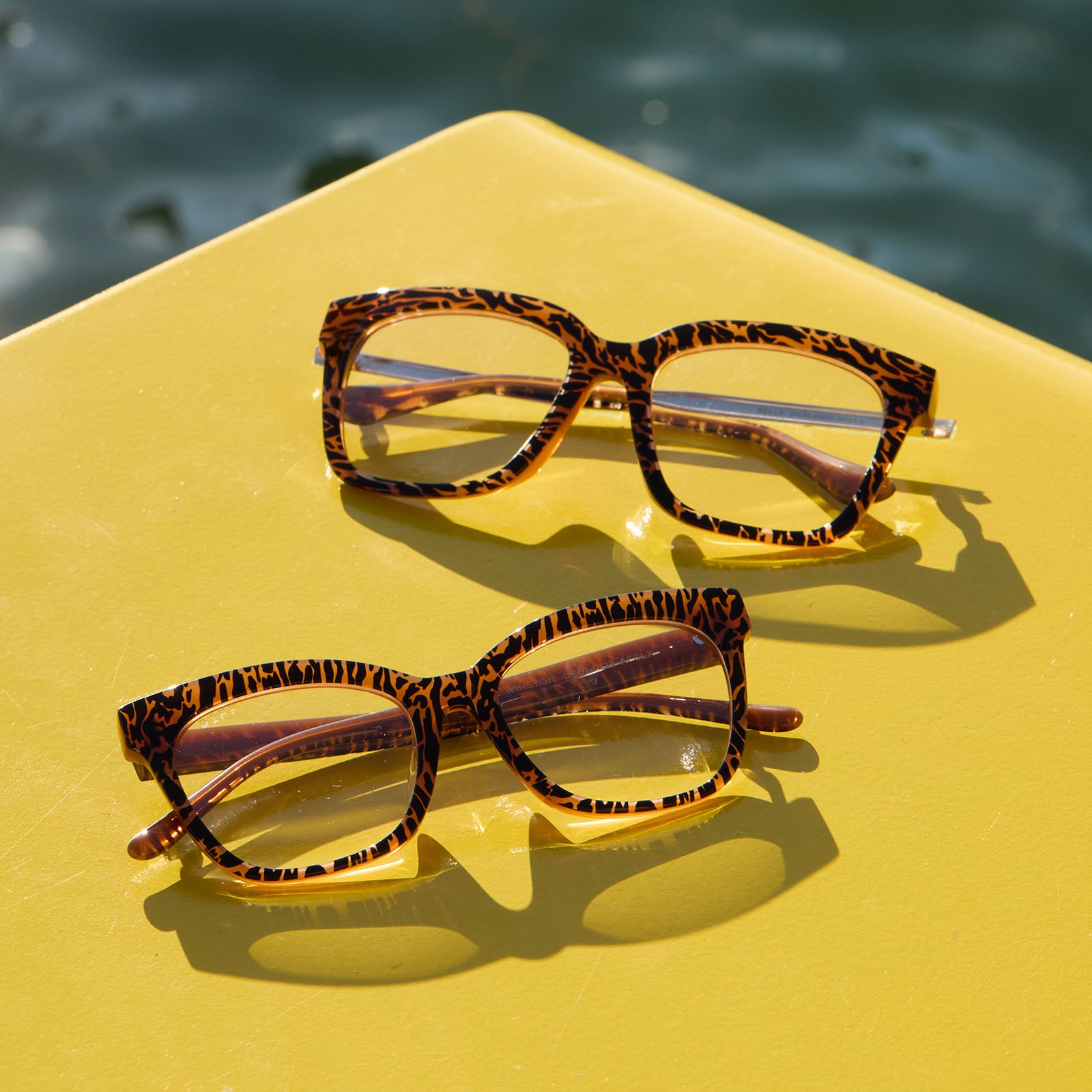 BELLA - ANIMAL + GLASSES - Image 8