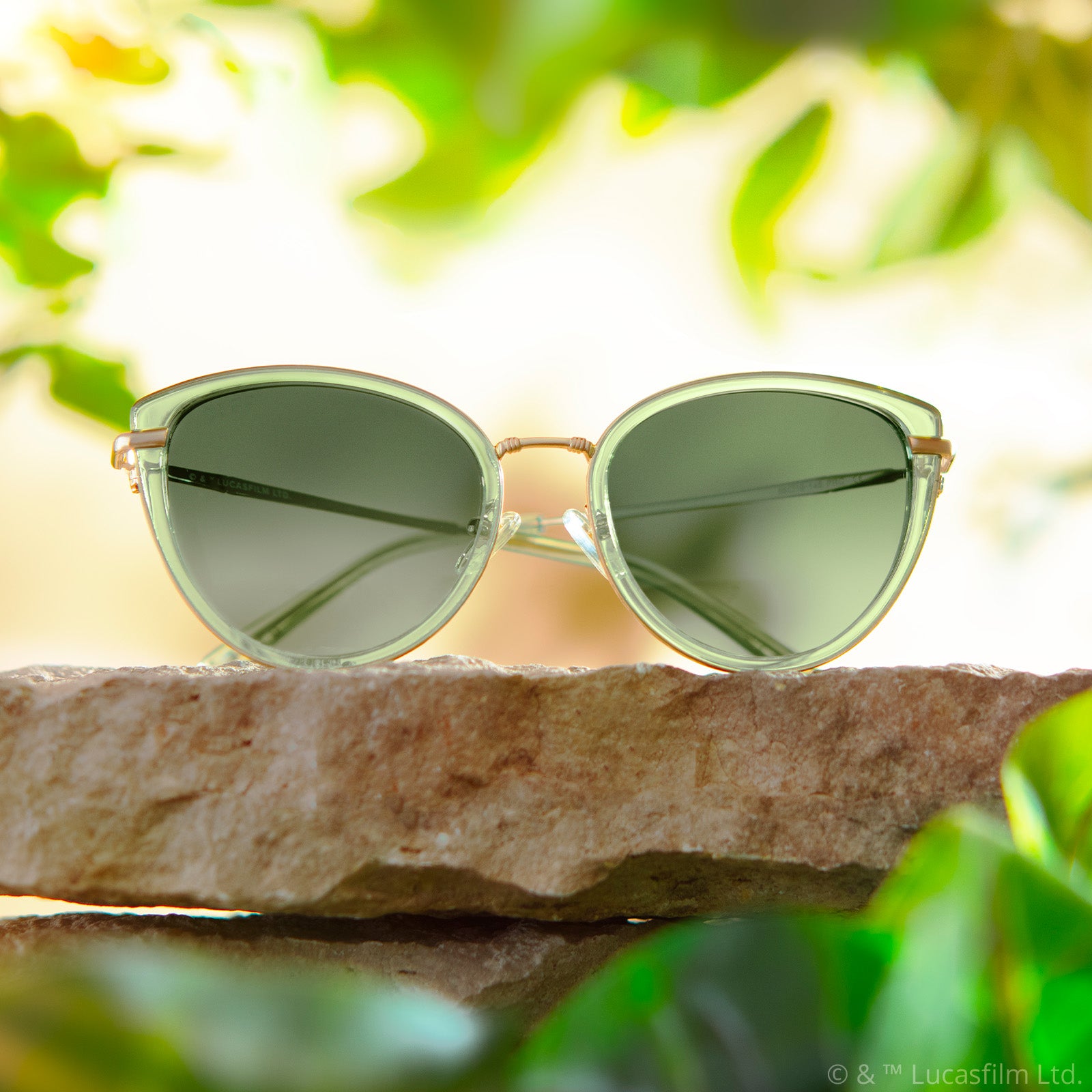 PRINCESS LEIA™ – ENDOR™ - TRANSLUCENT SAGE + GOLD + ENDOR™ FOREST MOON GREEN + POLARIZED SUNGLASSES - Image 5