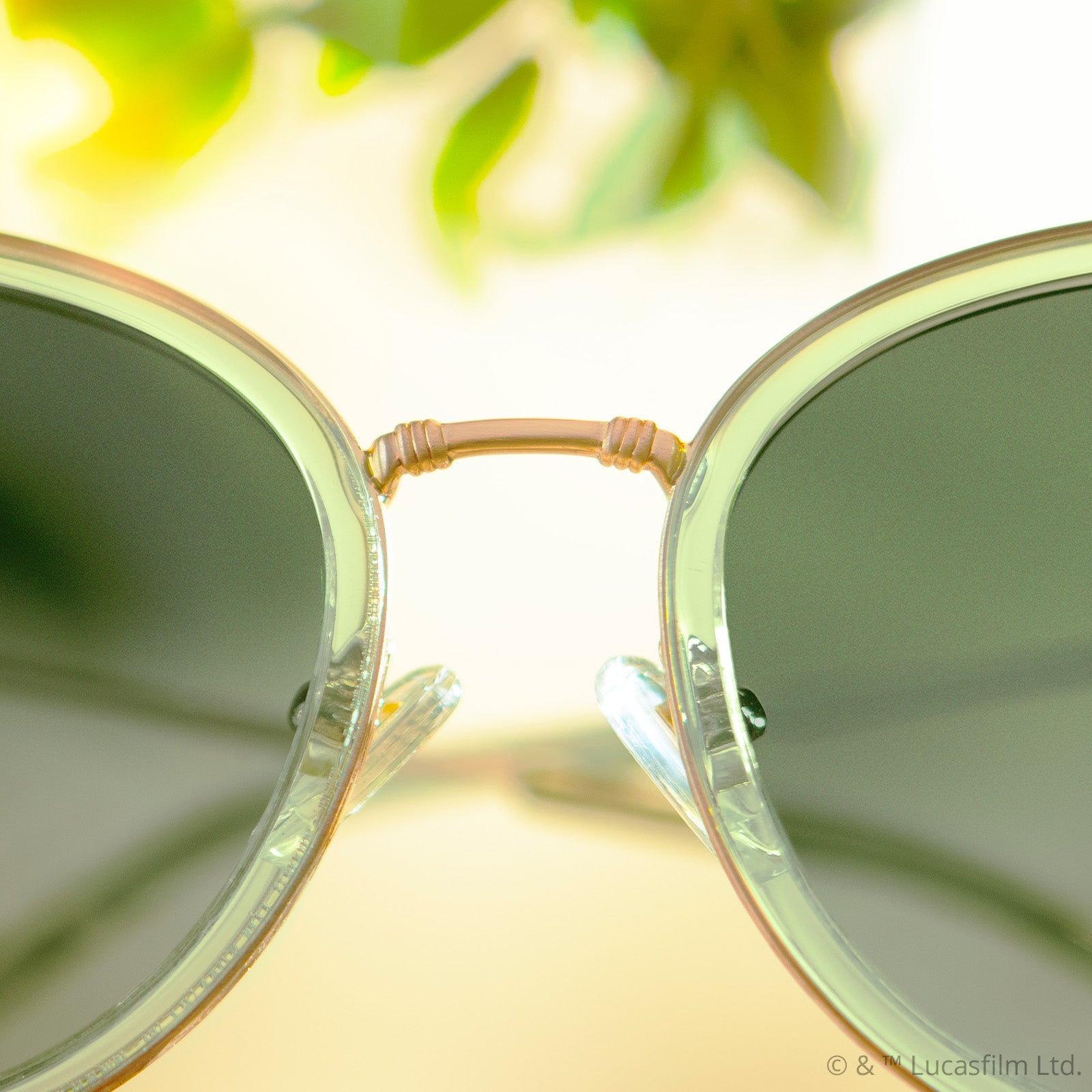 PRINCESS LEIA™ – ENDOR™ - TRANSLUCENT SAGE + GOLD + ENDOR™ FOREST MOON GREEN + POLARIZED SUNGLASSES - Image 6