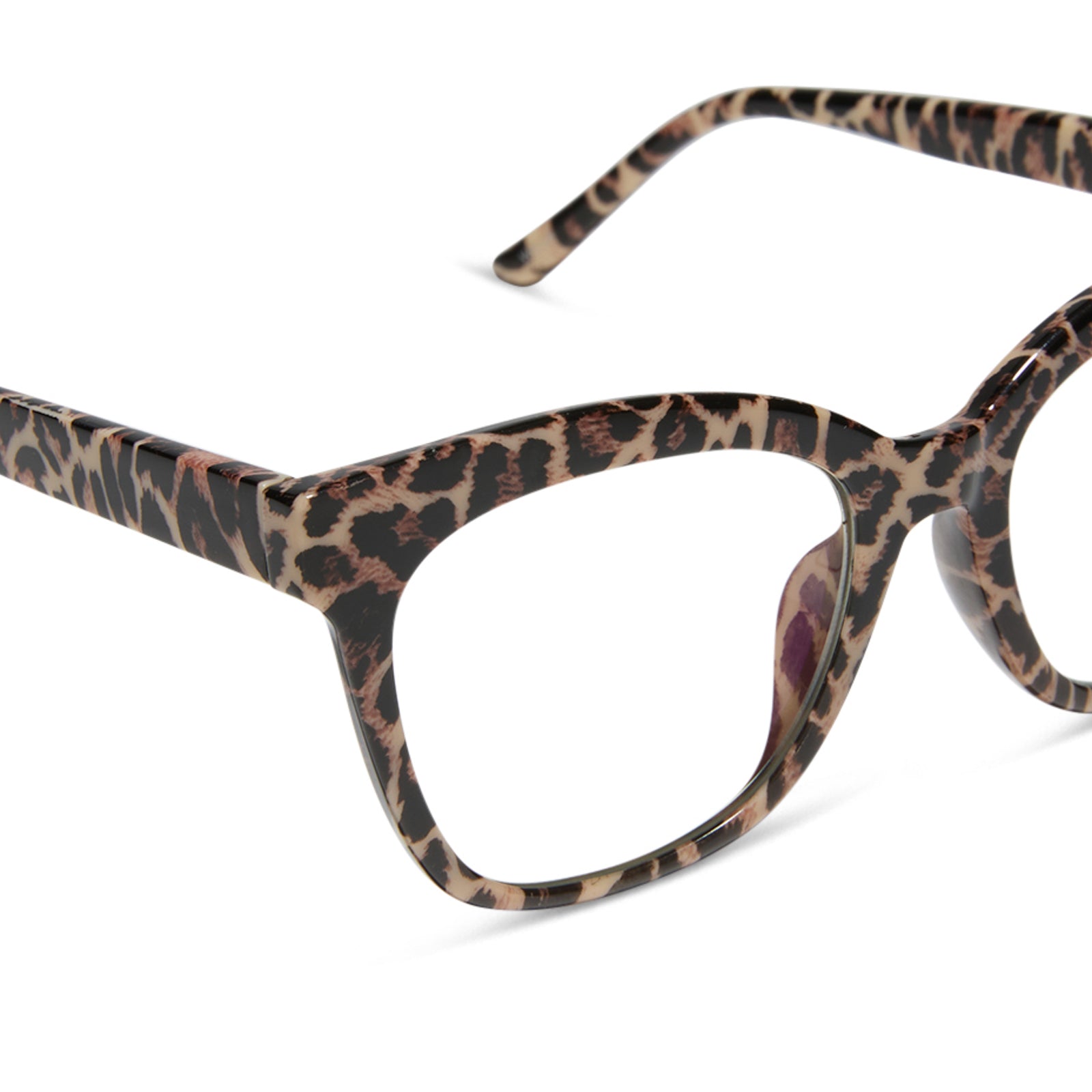 WILLA - LEOPARD TORTOISE + BLUE LIGHT READERS - Image 4
